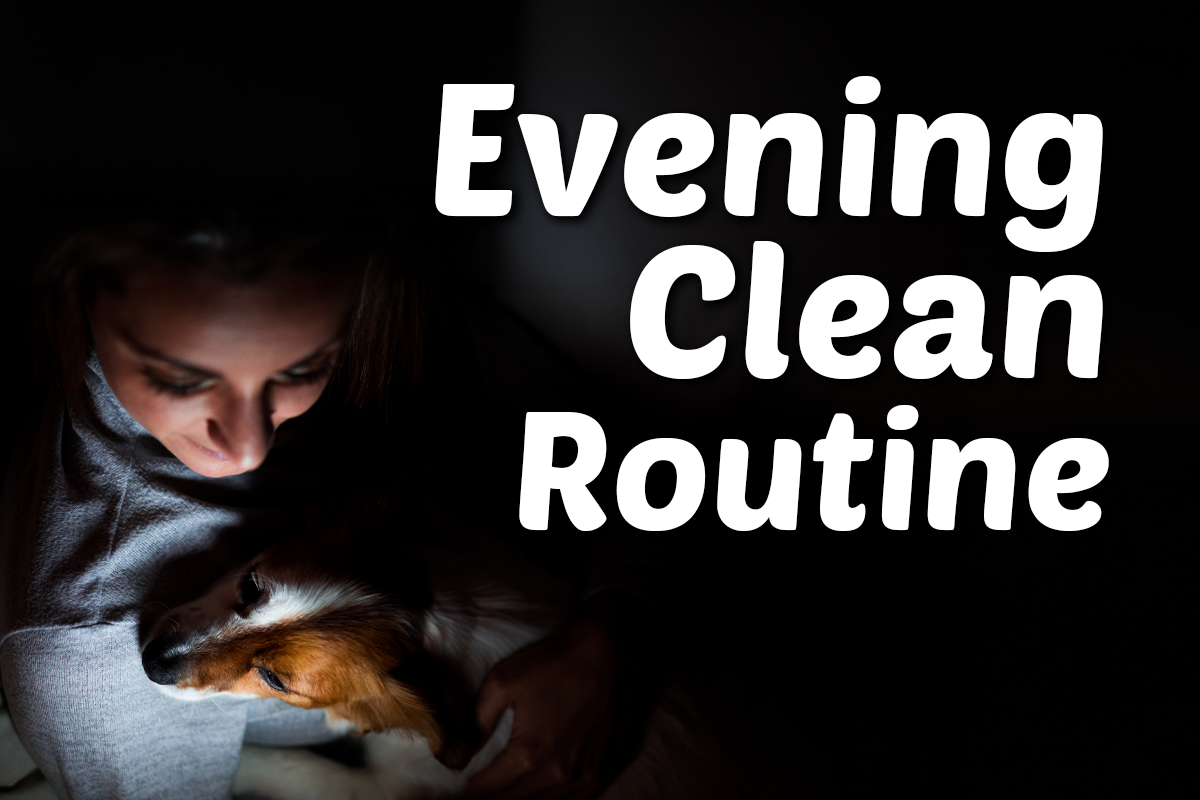 Evening Clean Routine: Why Nighttime Is the Perfect Time for Dental Chews