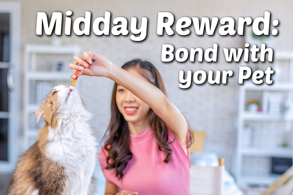Midday Reward: Why Small Treat Moments Matter for Pet Bonding