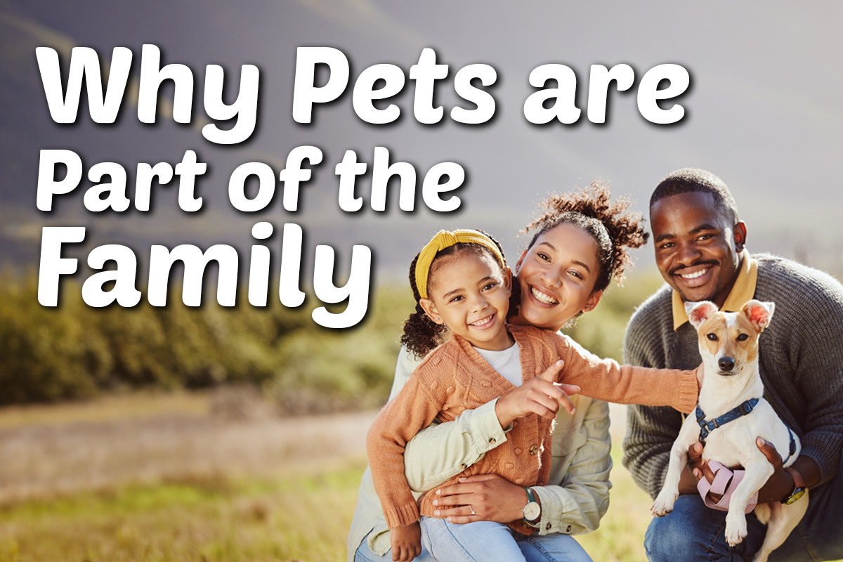 Why Pet Parents Are Treating Pets More Like Family Than Ever